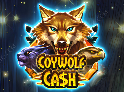 Czech: Coywolf Cash Demo