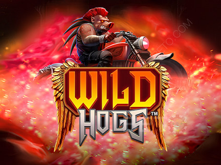 Czech: Wild Hogs Demo