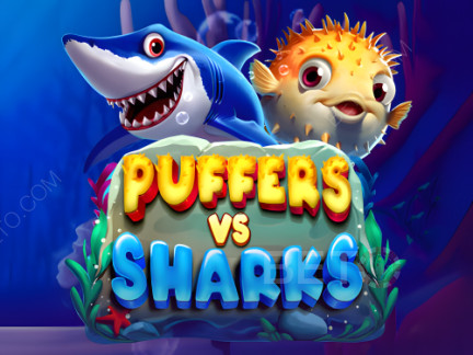 Czech: Puffers Vs Sharks Demo