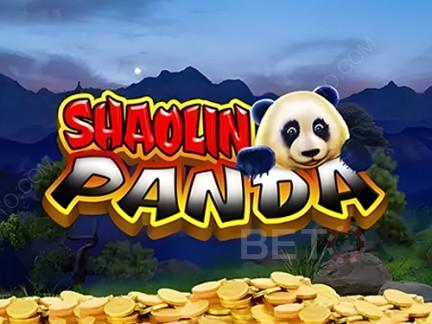 Czech: Shaolin Panda Demo