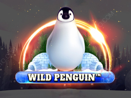 Czech: Wild Penguin Demo