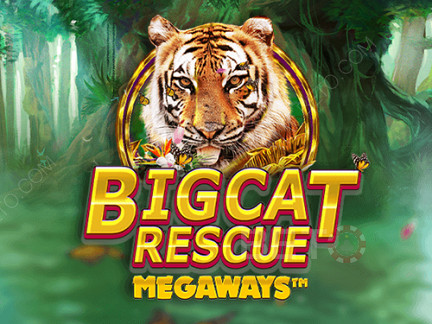 Czech: Big Cat Rescue Megaways Demo
